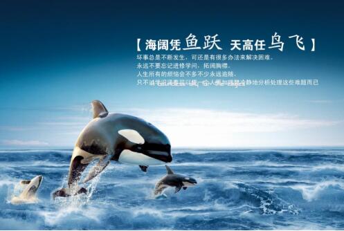 海阔凭鱼跃的下一句比喻在广阔的天地里施展才能