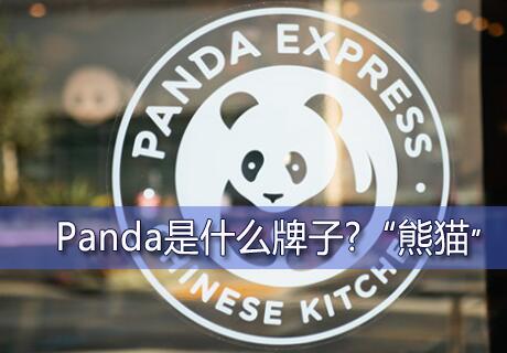 Panda是什么牌子？其实“熊猫”Panda并非某个特定的品牌
