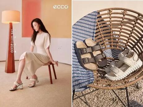 ձ ֮ ECCOȫЬϵаԾʢ