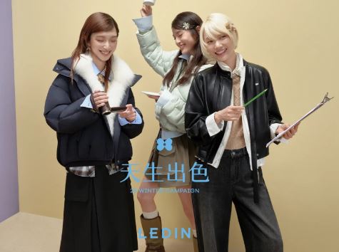 LEDIN ����� 2026 ����ϵ�У��ԡ�������ɫ��ڹ������̬��