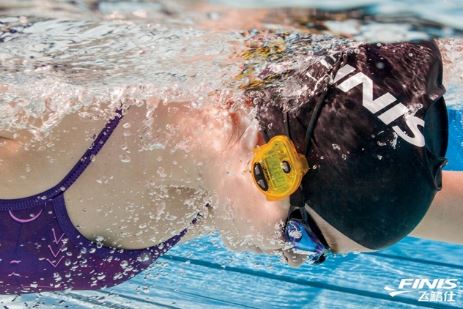 FINIS ��������Ʒ���������ˣ���ϵͳ��Ʒ��ս�������й���Ӿ�г�����